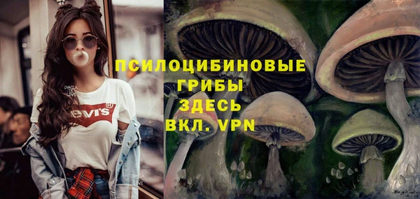 прущие крисы Абдулино