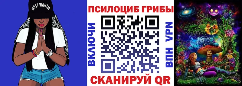 Псилоцибиновые грибы мицелий  купить закладку  Челябинск 